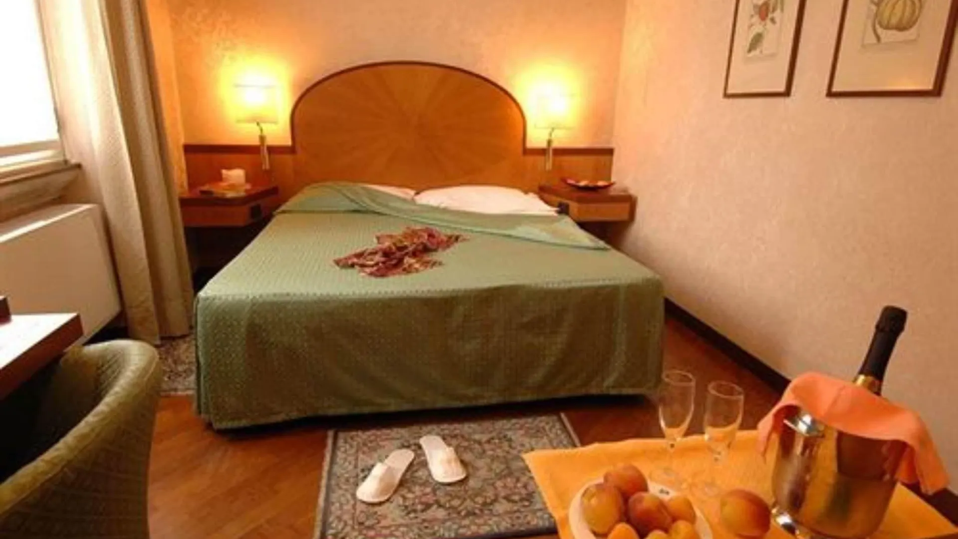 Hotel Metro Milan